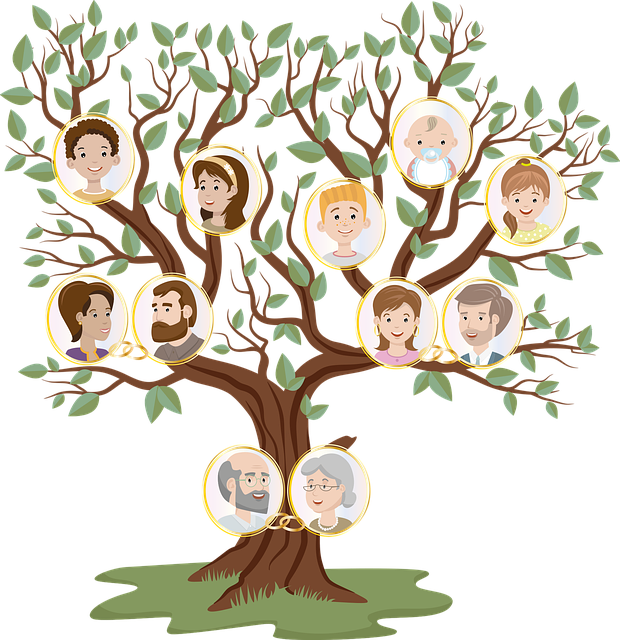 family tree