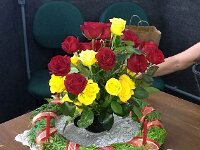 004-Coroa de Advento e Rosas