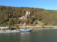 006-Incansavelmente belo