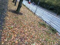 027-O Outono desfilando na Avenida Unter den Linden