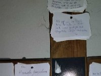 014-Eu te peco ore por mim