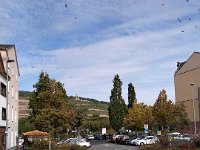 031-Num domingo a Tarde em Bingen - Alemanha