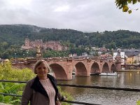 006-Vista panoramica do alto do Castelo para a ponte