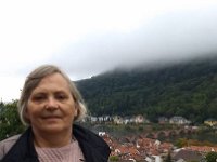 010-Foto tirada no mirante do Castelo - vendo ao fundo a ponte