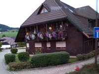 022-Em-direca a o fazenda de queijos