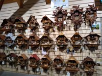 042-Exposicao na loja da fabrica de relogios cuco