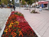 044-A delicadezza e o capricho