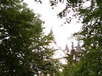 010-Por entre as folhas - ele vai tomando forma