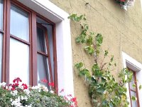 006-A tradicao da regiao na producao de vinhos comecou por volta do ano 1100