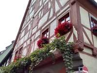 018-Cada canto e mais encantador do que o outro